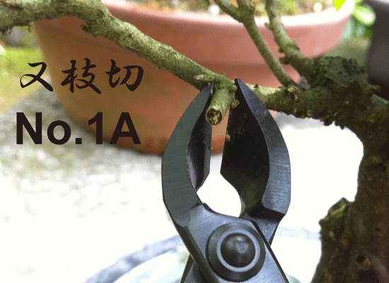 小品盆栽用 又枝切 No.1A