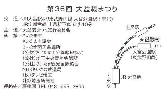 19年 大盆栽まつり 埼玉県さいたま市北区盆栽町