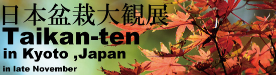 Nippon bonsai taikan-ten Japan