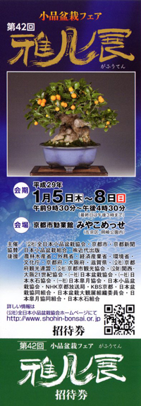 第42回小品盆栽フェア 雅風展チケット 2017年(平成29年)