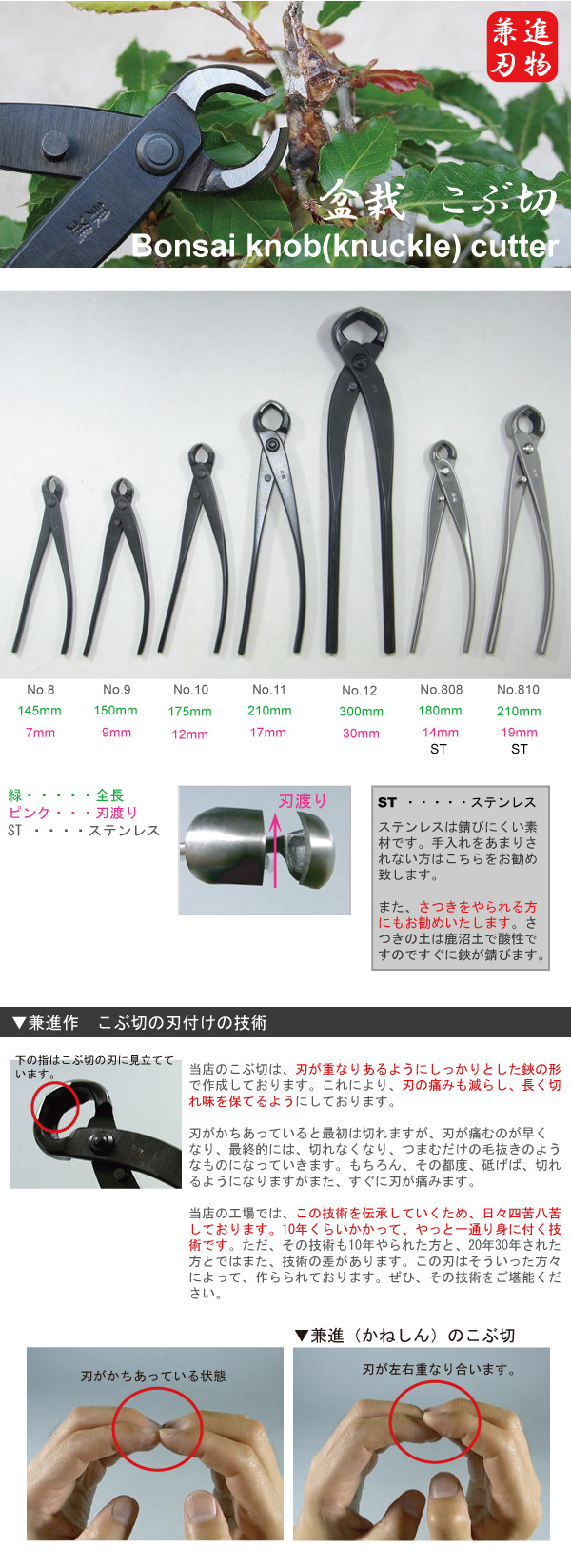 盆栽 こぶ切 兼進 かねしん けんしん made in Japan
