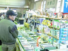 銘風盆栽展
