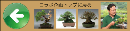 盆栽作家、三浦裕貴 兼進刃物 コラボ企画