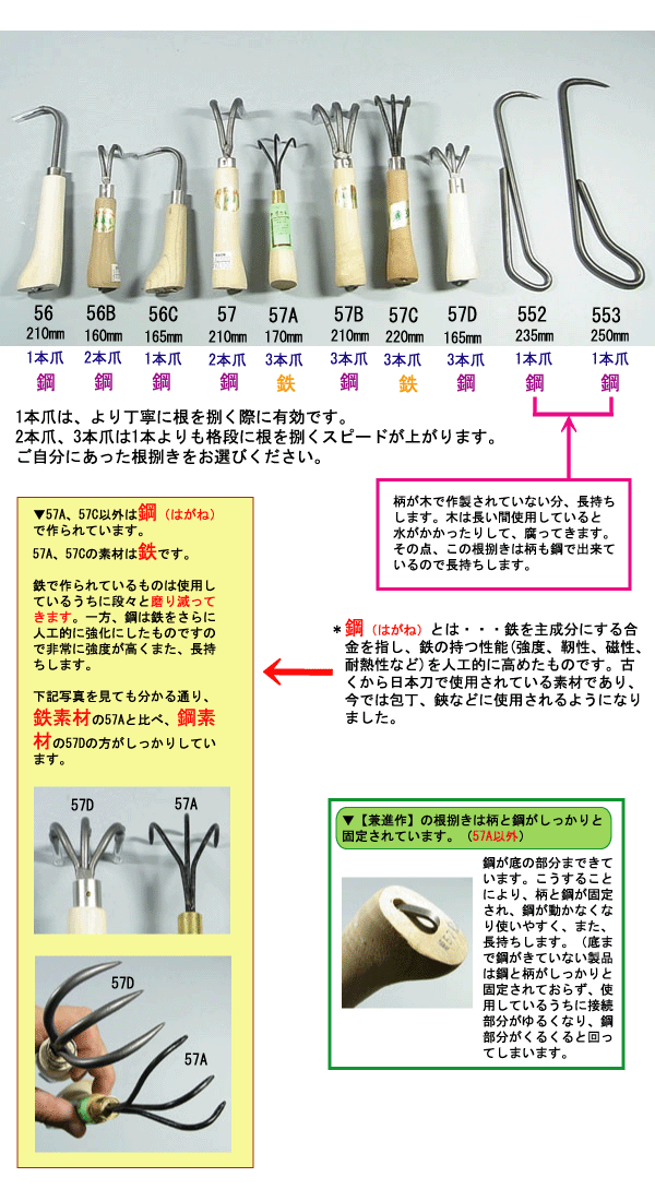 盆栽 根捌き