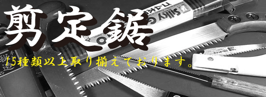 剪定鋸(のこぎり)