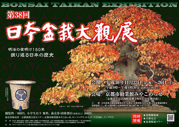 日本盆栽大観展 京都 2018 平成30年