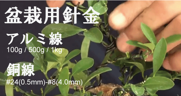 盆栽アルミ線、銅線
