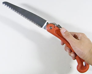 Bonsai saw