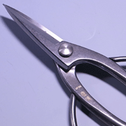 Bonsai stainless scissors
