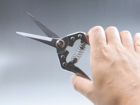 Stainless gardering bud scissors