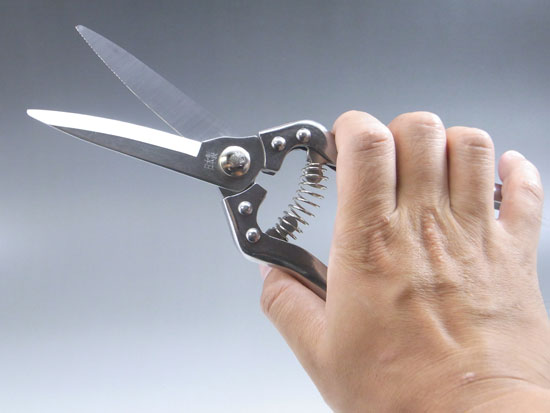 Stainless gardering scissors