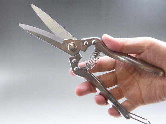 Stainless gardering scissors