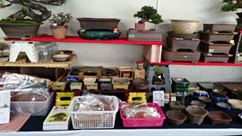 国風展　売店　立春盆栽大市　上野グリーンクラブ