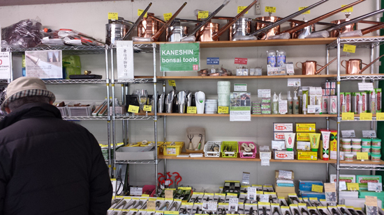 国風盆栽展　立春盆栽大市　上野グリーンクラブ