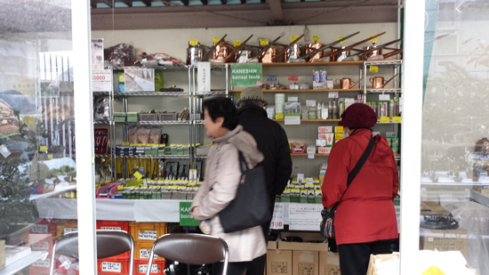 国風盆栽展　立春盆栽大市　上野グリーンクラブ