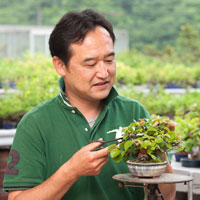 Japanese bonsai master Mr.Hiroki Miura