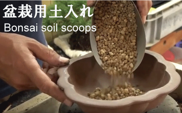 Bonsai soil scoops