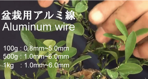 Bonsai aluminum wire